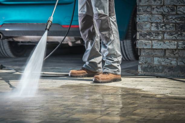 Best Roof Washing  in Erie, PA